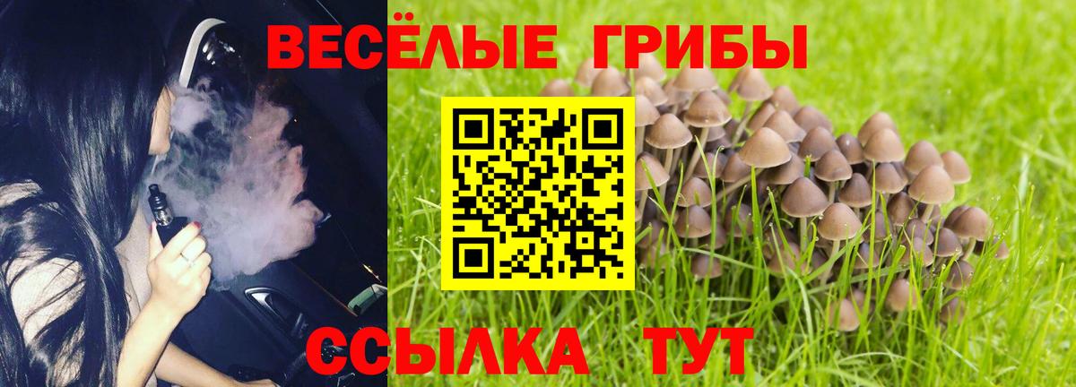 Псилоцибиновые грибы MAGIC MUSHROOMS  Вход с VPN  Галлюциногенные грибы Psilocybe  Саратов 