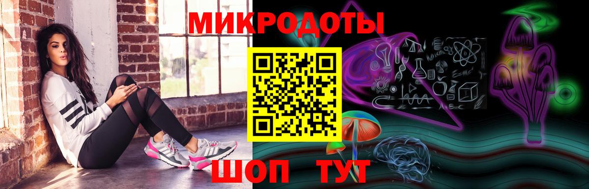 Псилоцибиновые грибы Cubensis Саратов
